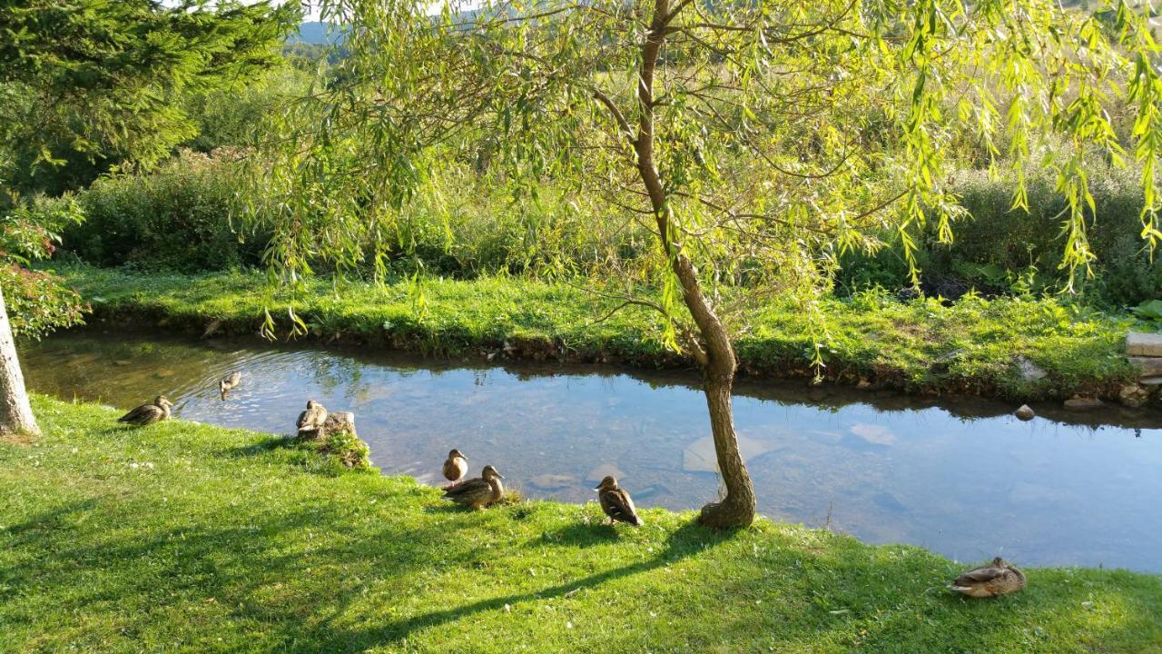 Rustic Inn River Prijeboj Dış mekan fotoğraf